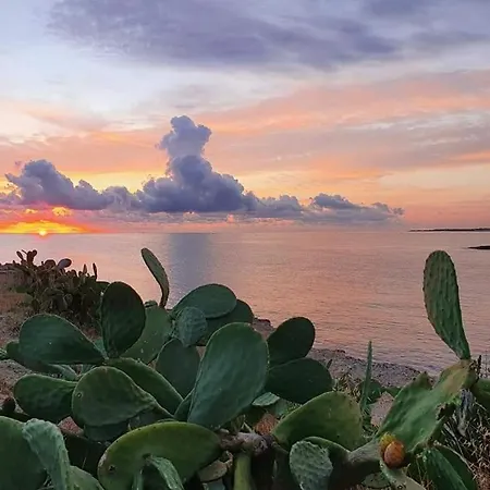 Bianche Del Capitolo *